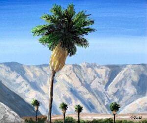 San Jacinto Palms