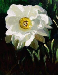 Golden Eye of Gardenia