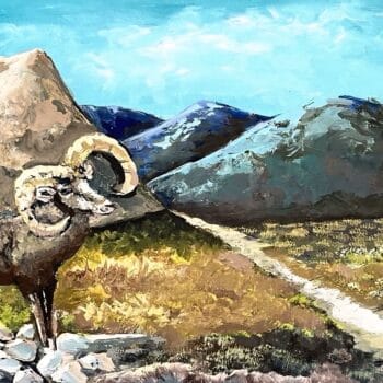A stunning sheep painting, titled "Desert Ramblings".