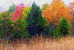 acrylic artistry, an acrylic painting of multi colored trees.