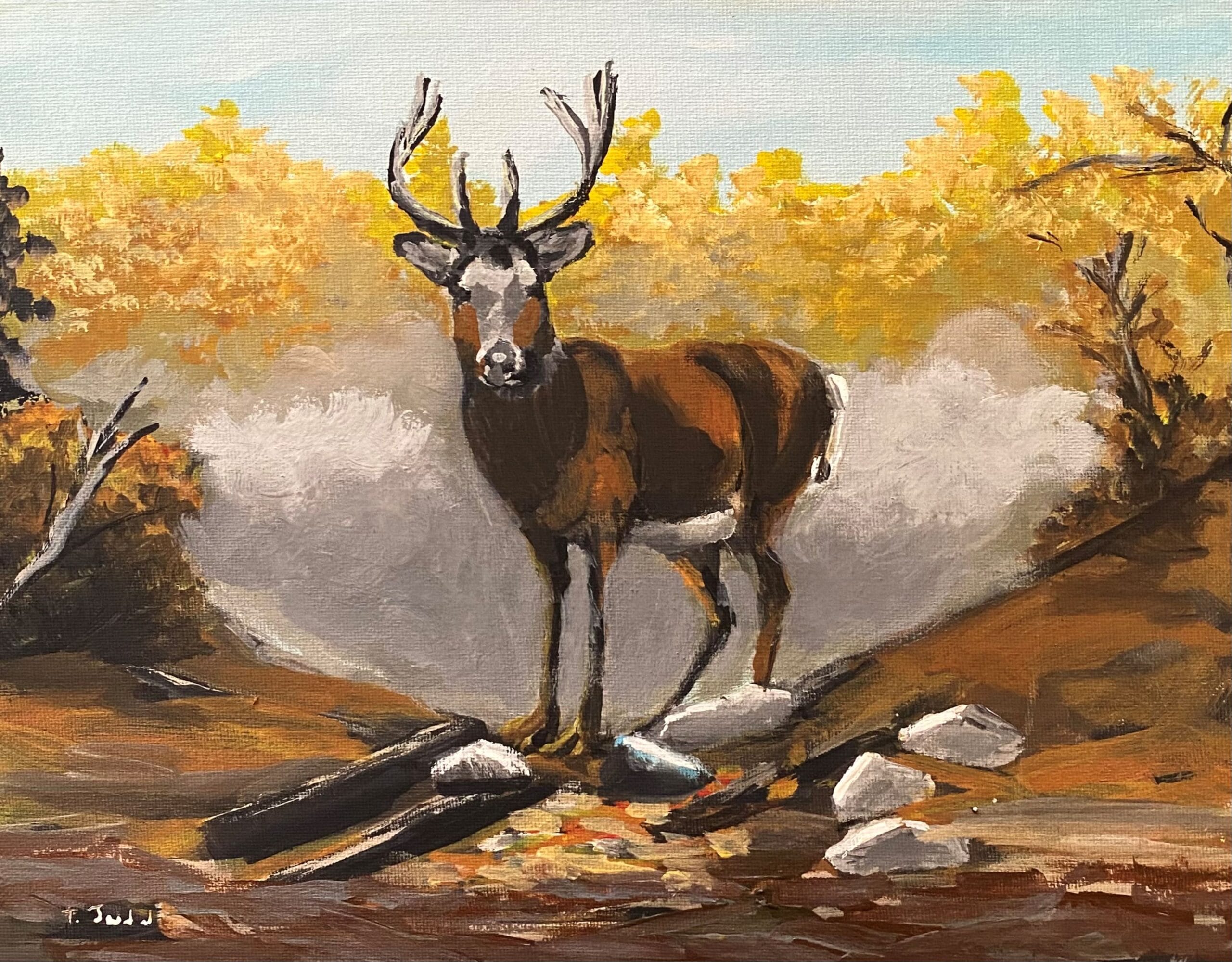 Wildlife Impressions