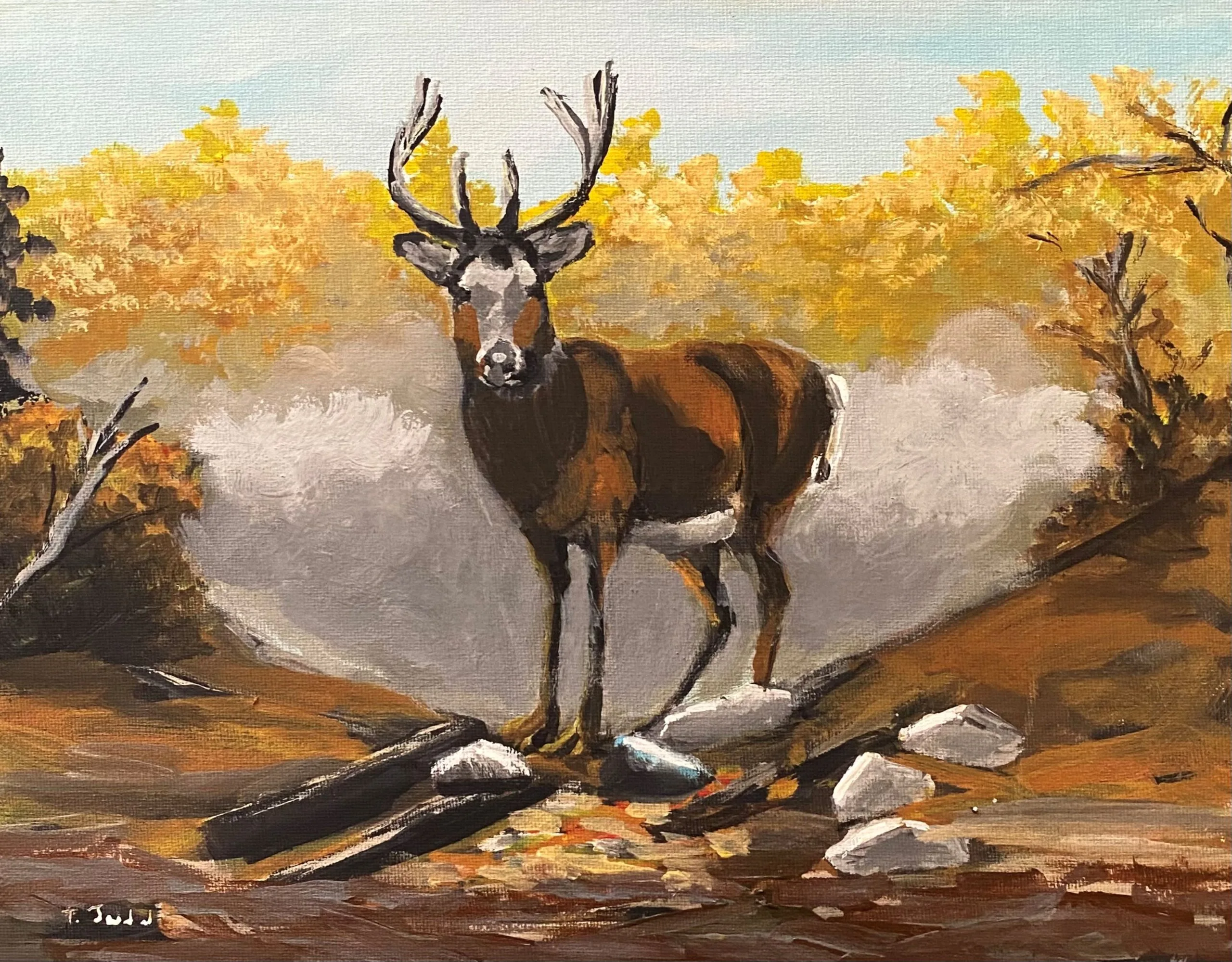 Wildlife Impressions