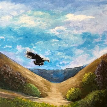 Feel The Wind