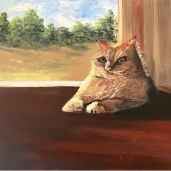 Resting Corner